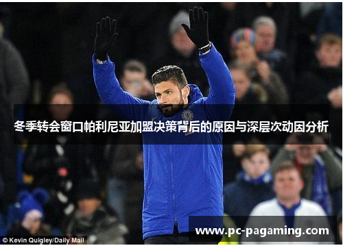 冬季转会窗口帕利尼亚加盟决策背后的原因与深层次动因分析 冬季转会窗口帕利尼亚加盟决策背后的原因与深层次动因分析