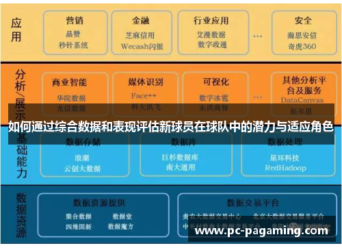 如何通过综合数据和表现评估新球员在球队中的潜力与适应角色 如何通过综合数据和表现评估新球员在球队中的潜力与适应角色