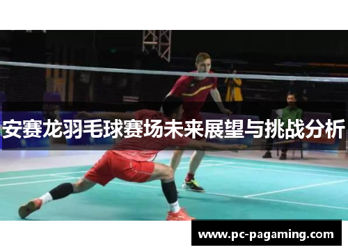 安赛龙羽毛球赛场未来展望与挑战分析 安赛龙羽毛球赛场未来展望与挑战分析