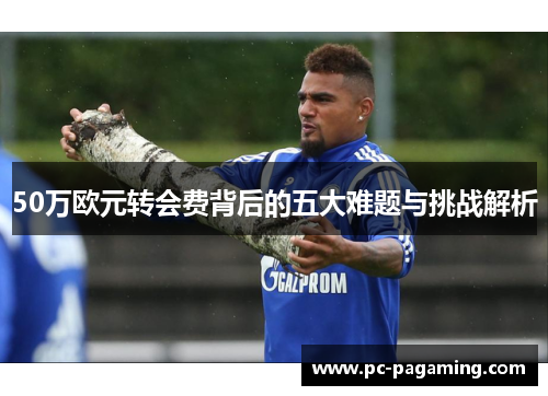 50万欧元转会费背后的五大难题与挑战解析 50万欧元转会费背后的五大难题与挑战解析