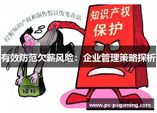 有效防范欠薪风险:企业管理策略探析 有效防范欠薪风险:企业管理策略探析