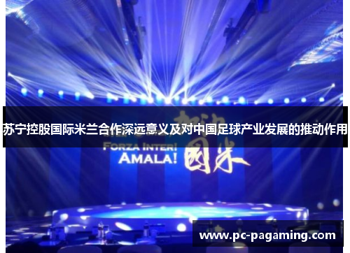 苏宁控股国际米兰合作深远意义及对中国足球产业发展的推动作用 苏宁控股国际米兰合作深远意义及对中国足球产业发展的推动作用