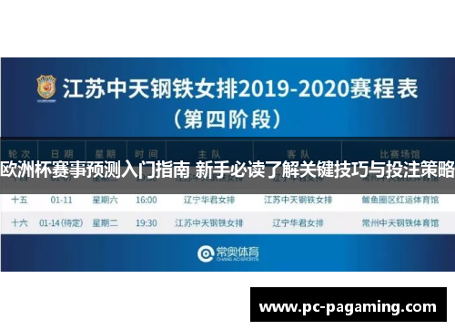 欧洲杯赛事预测入门指南 新手必读了解关键技巧与投注策略 欧洲杯赛事预测入门指南 新手必读了解关键技巧与投注策略