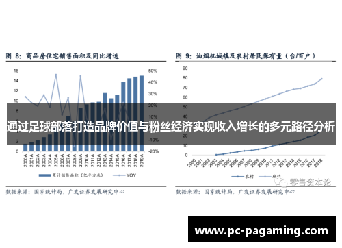 通过足球部落打造品牌价值与粉丝经济实现收入增长的多元路径分析