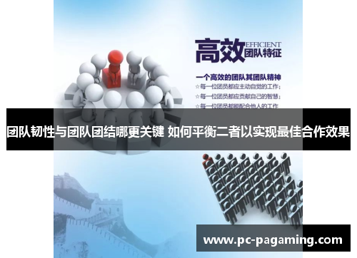 团队韧性与团队团结哪更关键 如何平衡二者以实现最佳合作效果