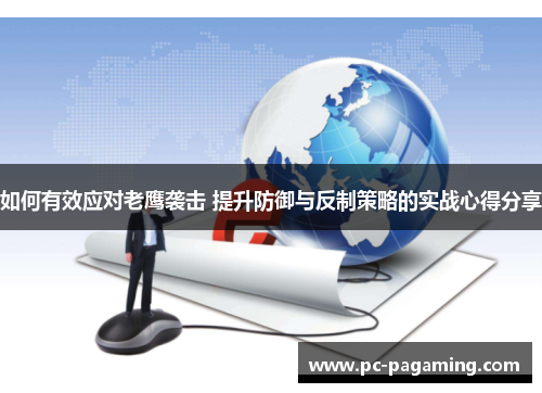 如何有效应对老鹰袭击 提升防御与反制策略的实战心得分享